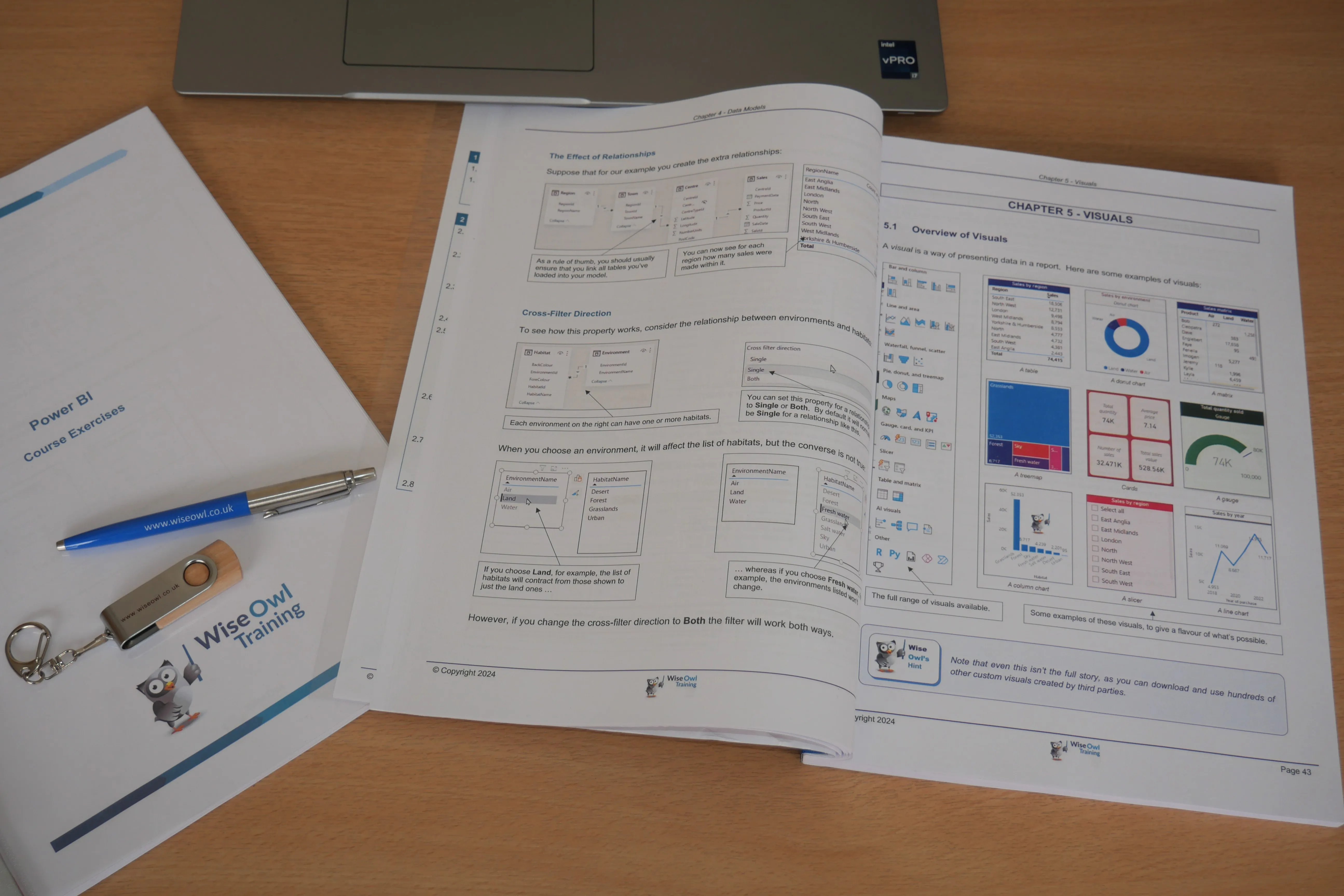 Wise Owl courseware example