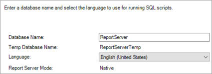 Report server database