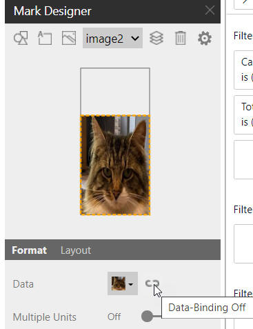 Data binding for images