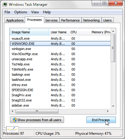 Task Manager showing Word process