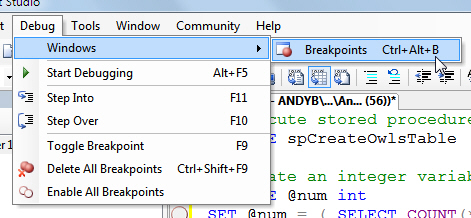 Displaying the breakpoints window