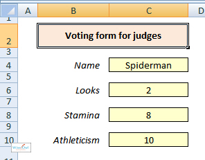 Voting form - VBA macro example
