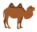 Camel case - picture of camel