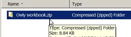 The zipped workbook
