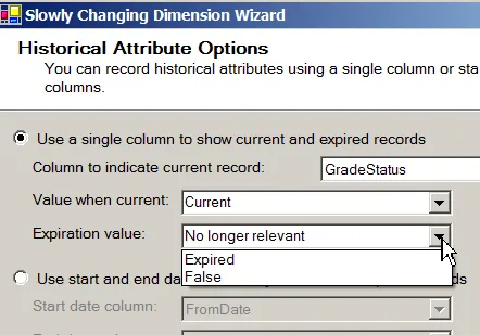 Historical attribute options - single column