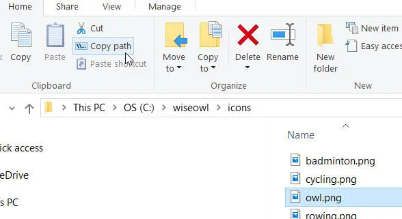 Copy path icon