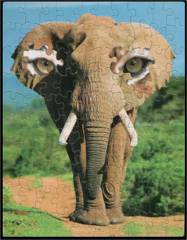 The all-seeing elephant