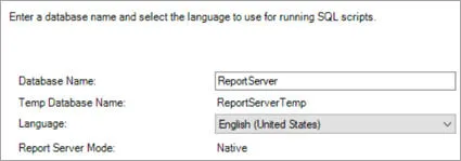 Report server database