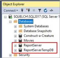 Report server databases in SSMS