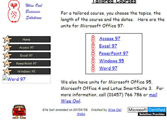 Website in 1999