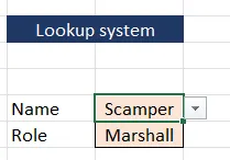 Data validation cells