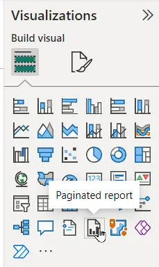 The paginated report visual