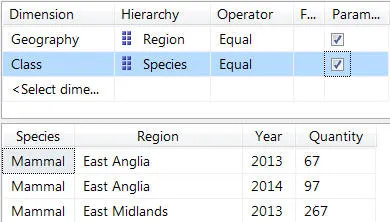 Dataset filters wiht parameters