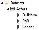 Dataset fields