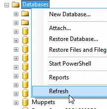 Refresh menu for SSMS database