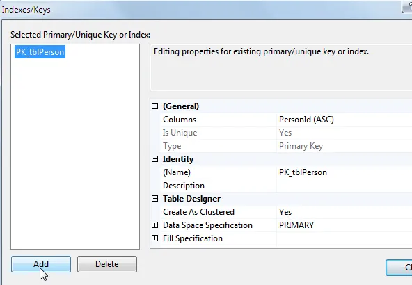 The primary key index