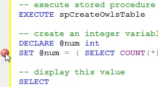 Setting a breakpoint