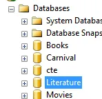 The Literature database selected