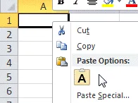 Pasting into Excel