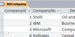 tblCompany table