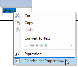 Choosing to view the properties of a placeholder for an expression in a SQL Server Reporting Services report